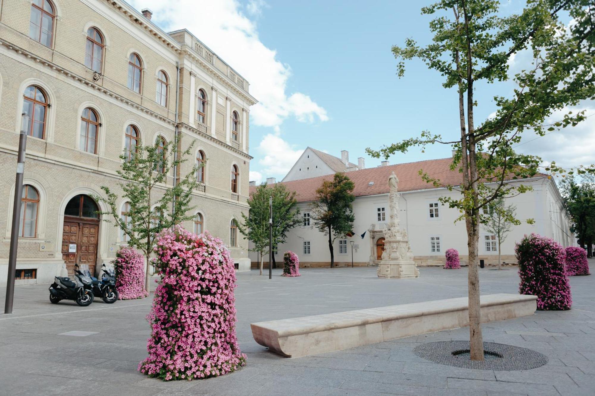 Contessa Central Studio Kolozsvár Kültér fotó