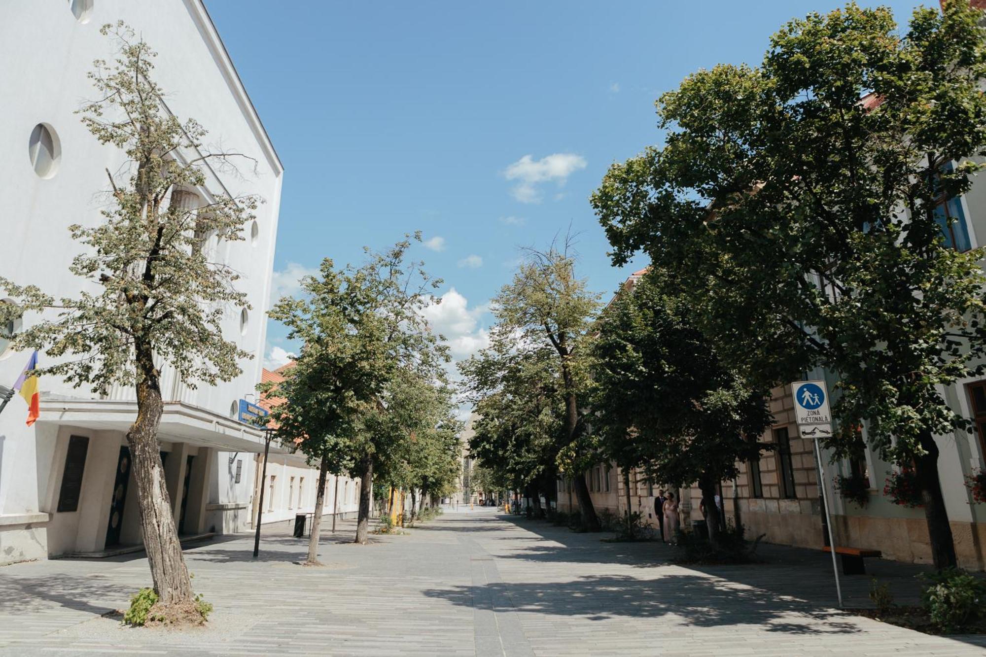 Contessa Central Studio Kolozsvár Kültér fotó